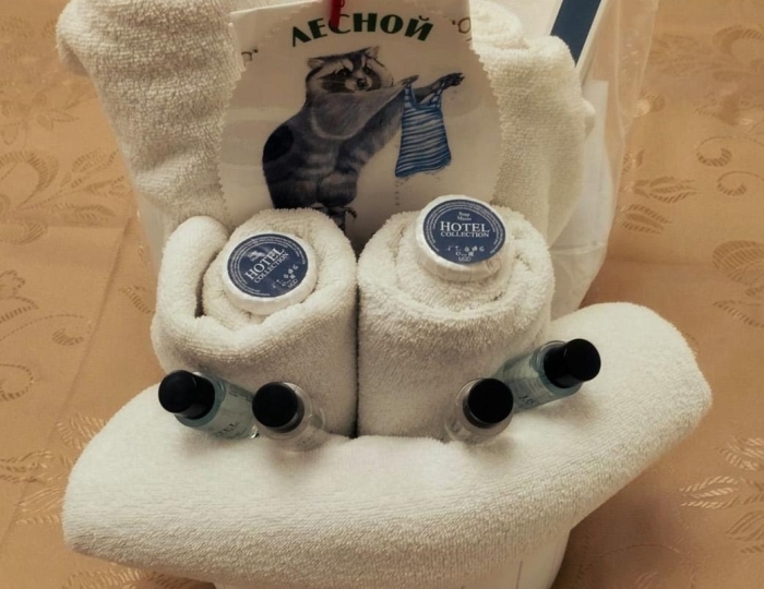 Номер эконом - Санаторий «ЖМЗ» Жуковский